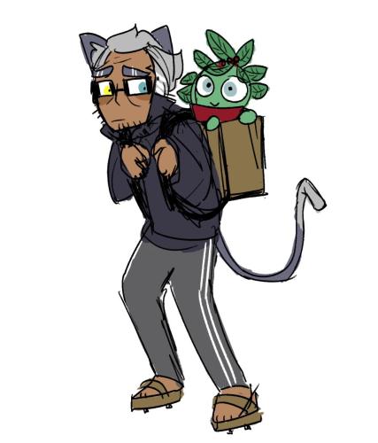 walker-fern-emifail-01